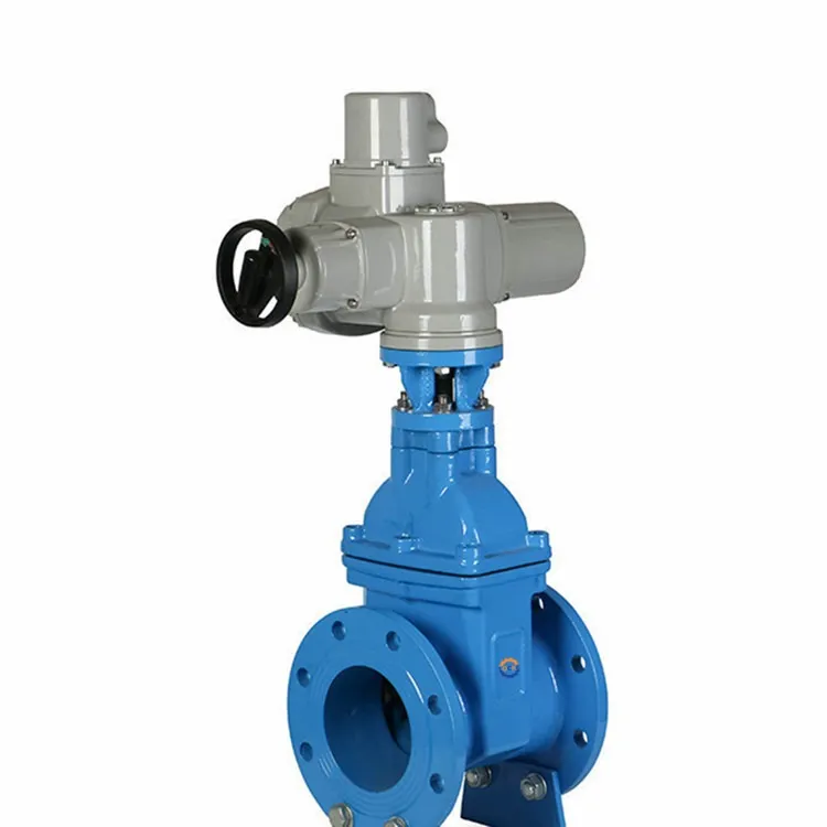 Electric Seal Seal Gate Balbula